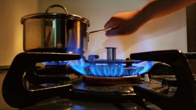 Photo of Scientist Warn The Usage of Gas Stoves Could Lead to Severe Health Implications